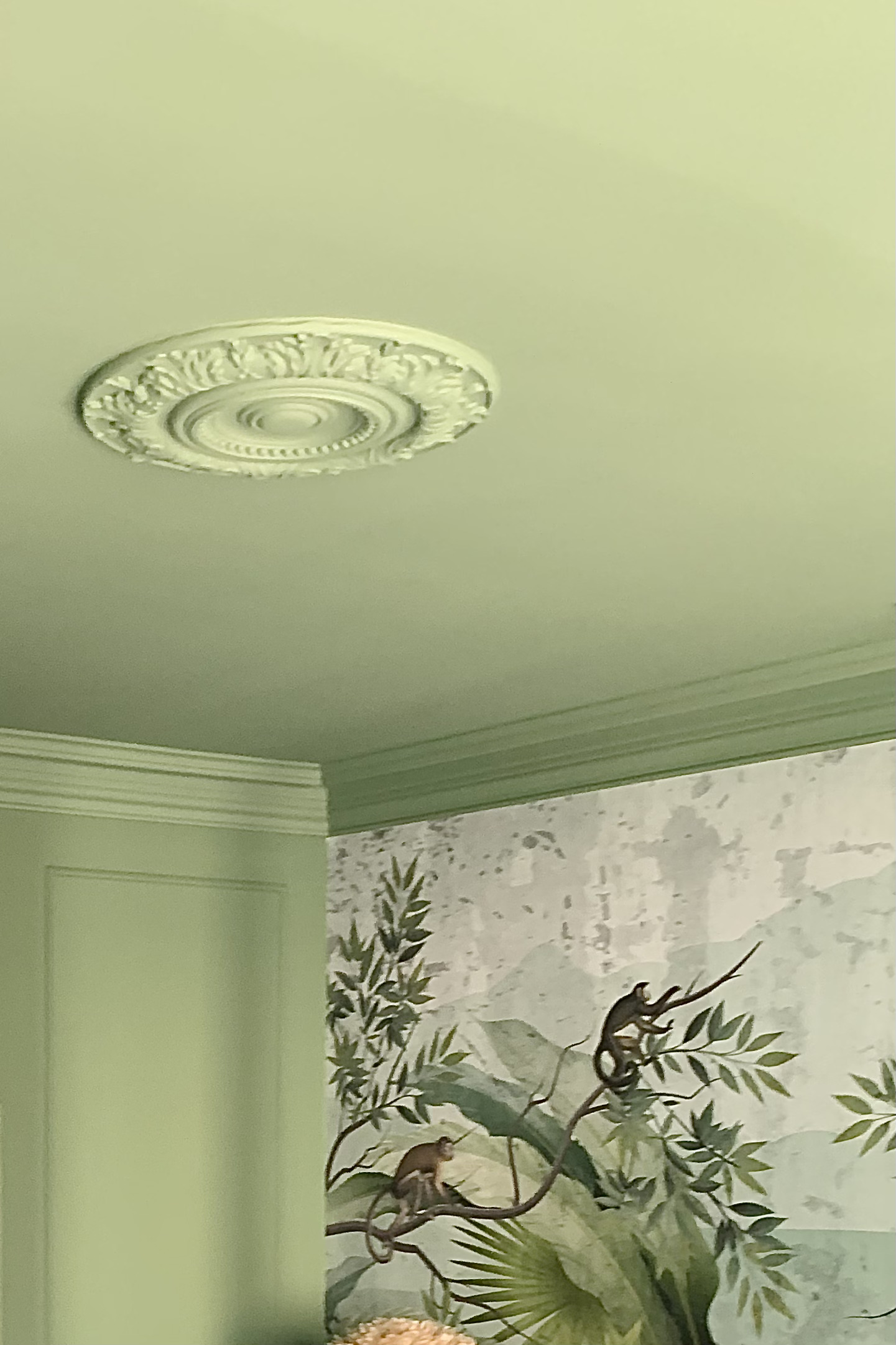 Projet Valérie - chambre aux tons vert, plafond avec moulures